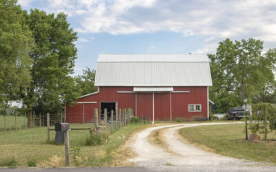 10 types of steel buildings for your farm
